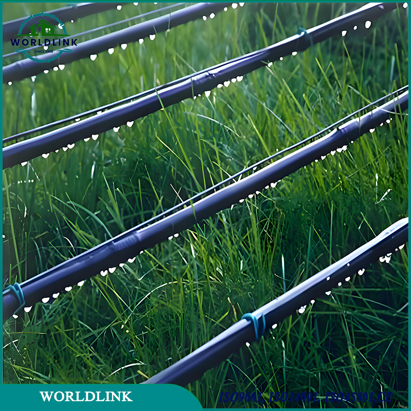 HDPE Pipes and Fittings for Irrigation