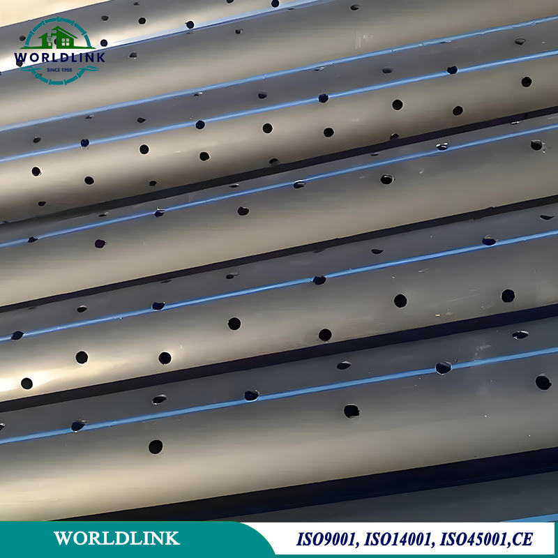 HDPE Perforated Drain Pipe and Fittings