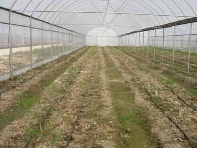 HDPE Pipes and Fittings for Irrigation used in greenhouses and greenhouses 