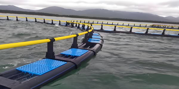 HDPE aquaculture cage tube is used in freshwater pond aquaculture 