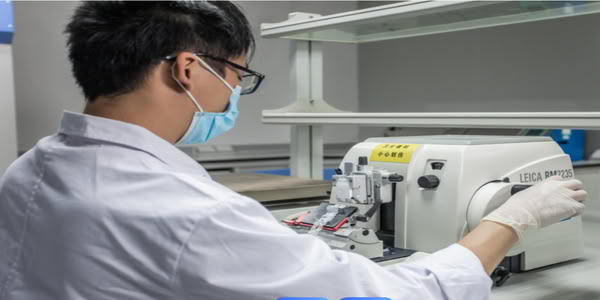 Hygienic Performance Inspection